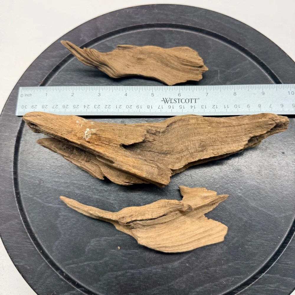 Natural Aquarium Driftwood Pieces 3 Count Terrarium Decor Aquascaping  90's‎